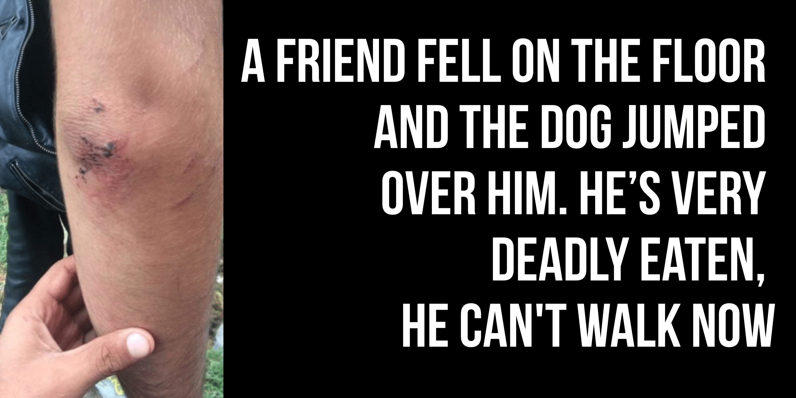 A friend fell on the floor and the dog jumped over him