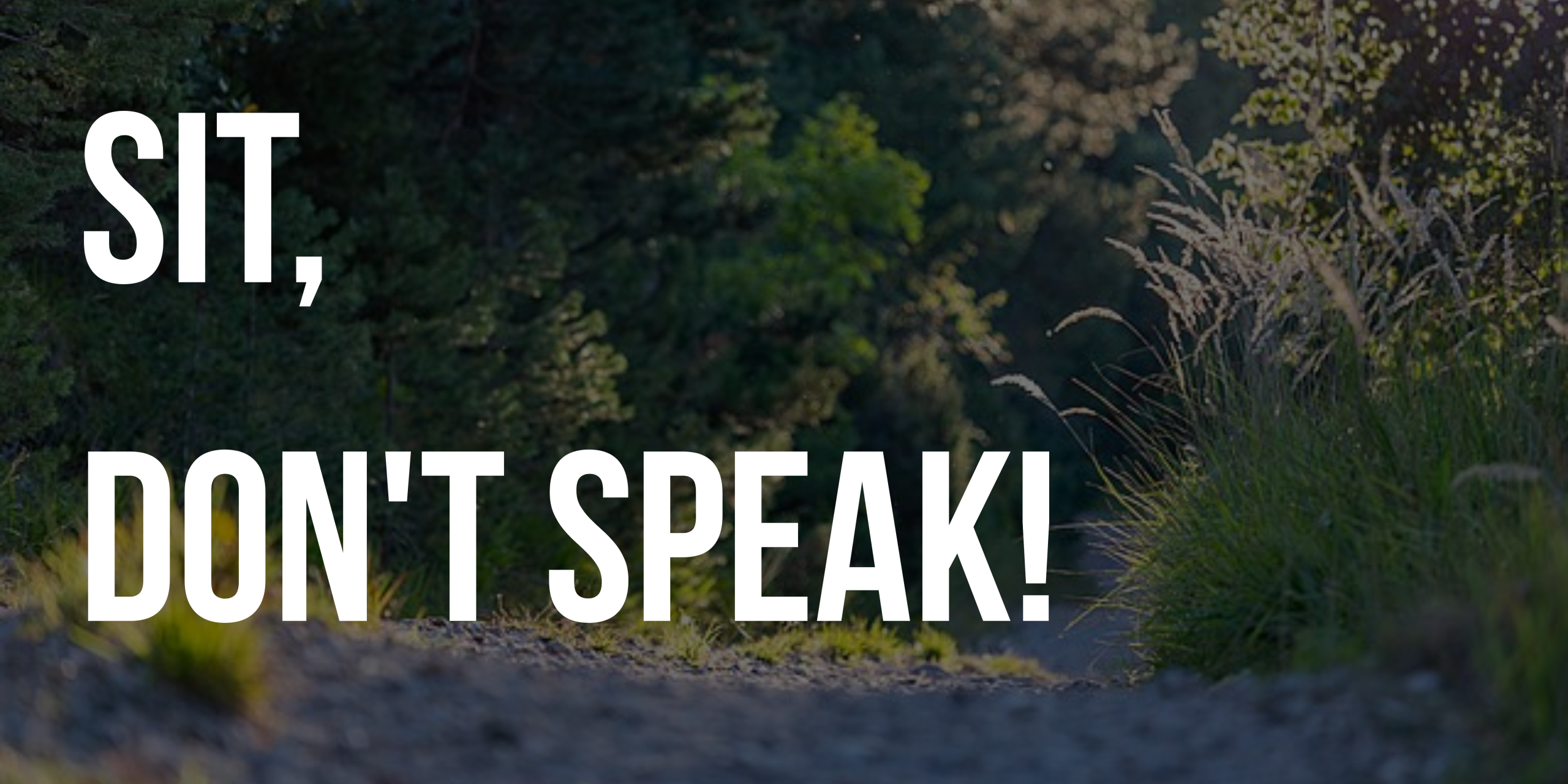 Sit dontspeak