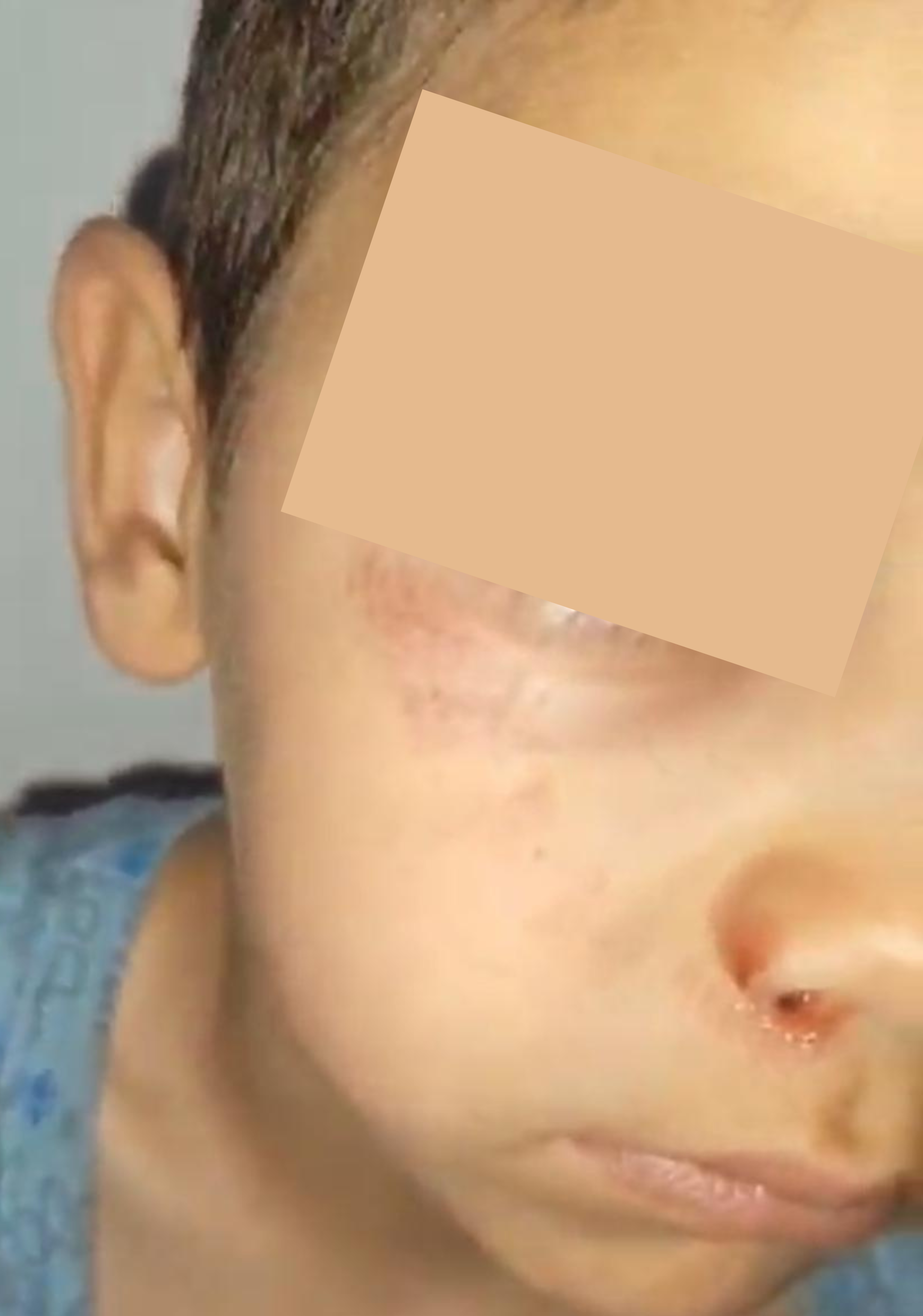 LIVE Bloody borders testimonies(7)