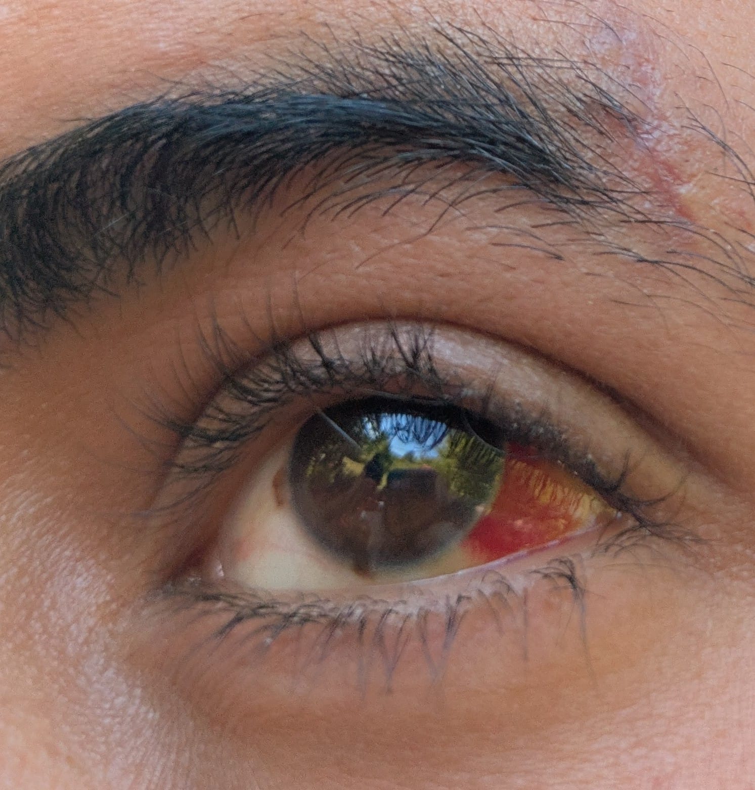 WhatsApp-Image-2025-08-27-at-12.03.24