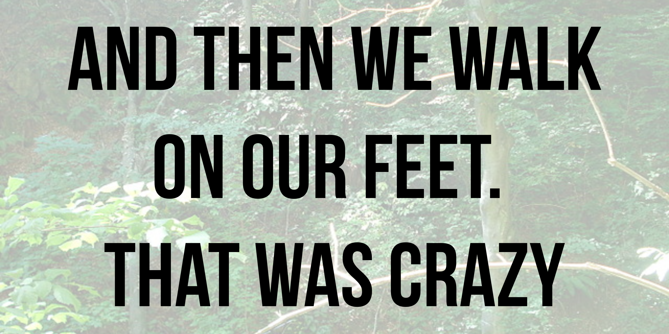 And then we walk on our feet