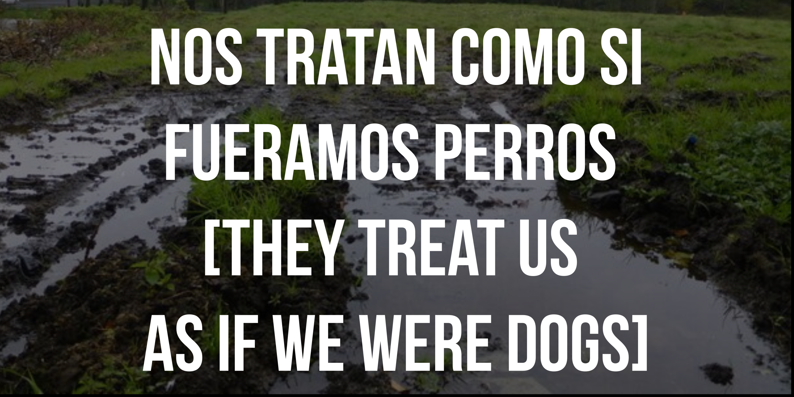 Nos tratan como si fueramos perros