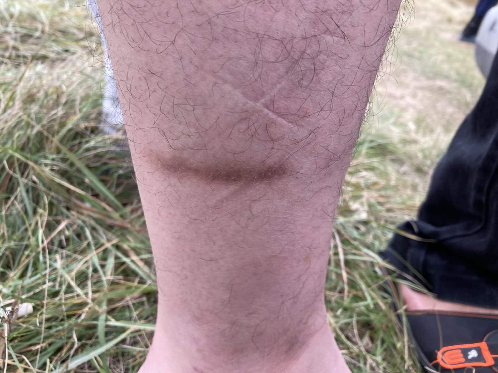 Image Bloody Borders 1