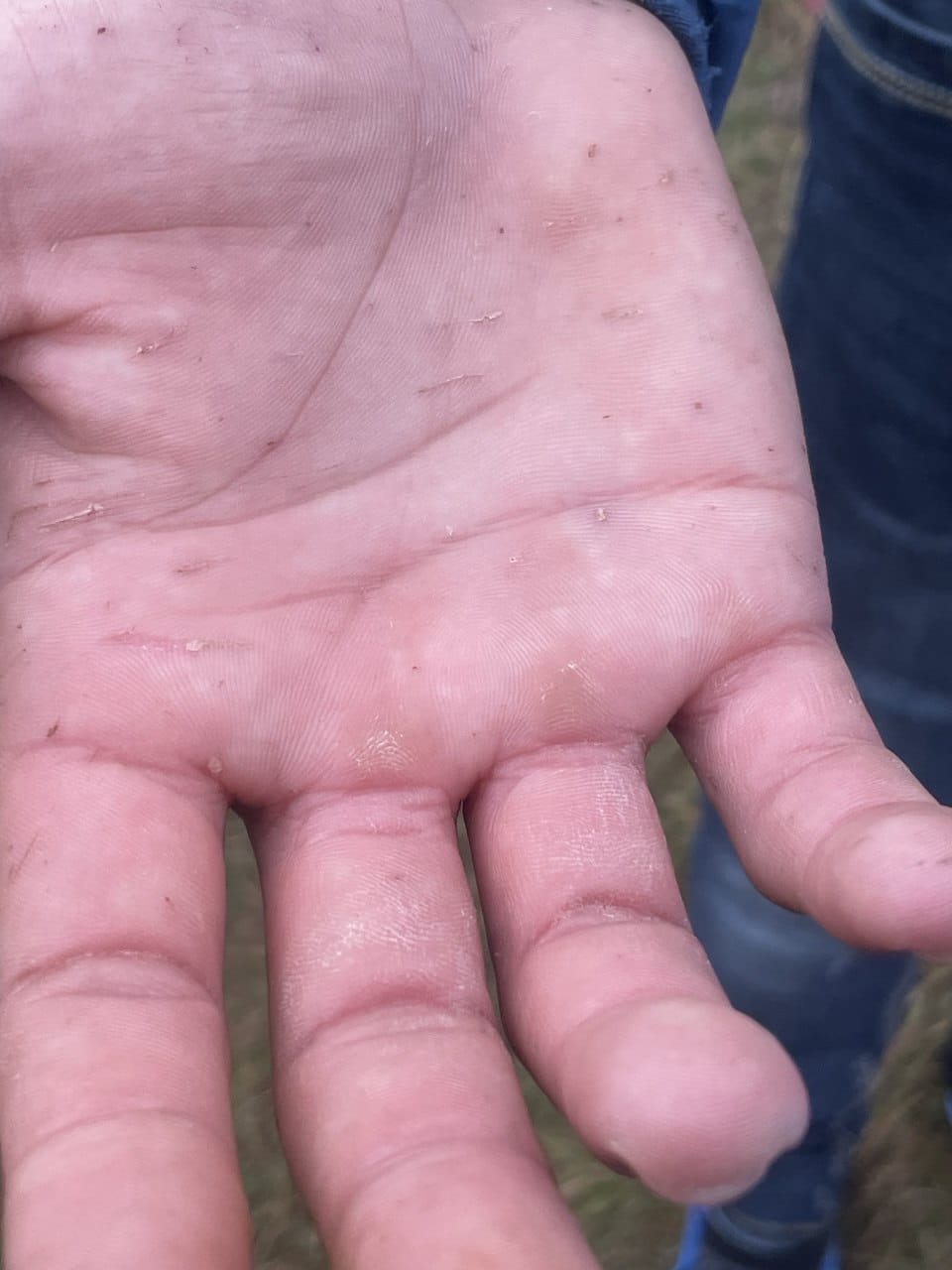 photo_2025-11-17_11-59-35 (1)