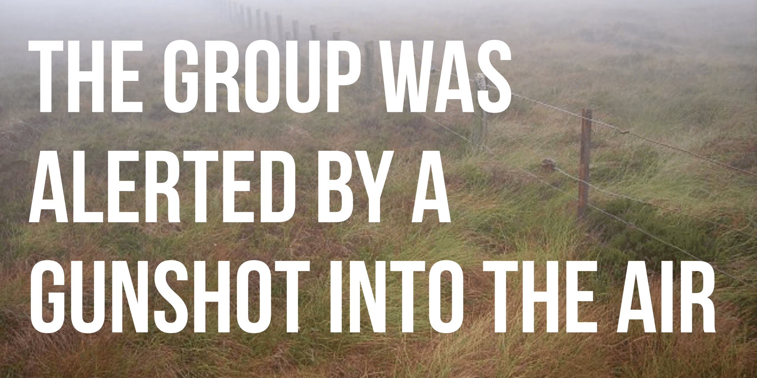 The group was alerted by a gunshot into the air
