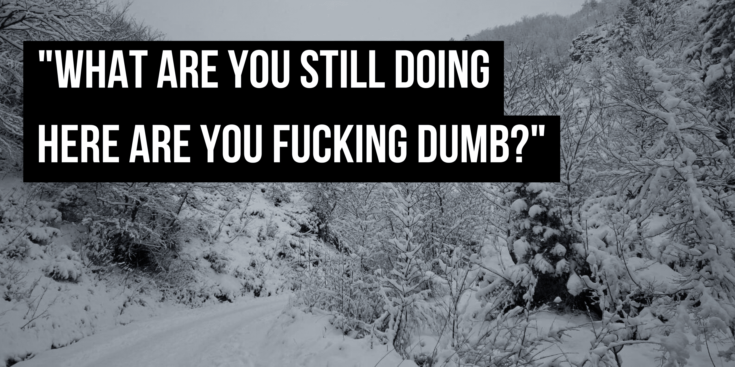 detained at the border