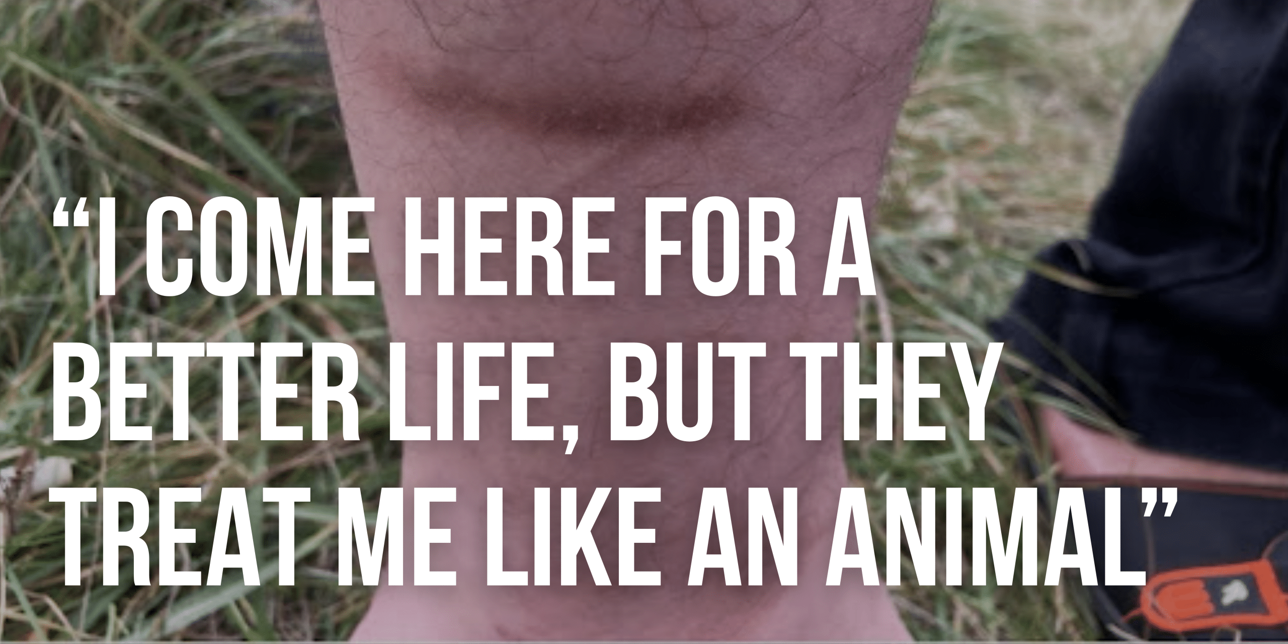 LIVE Bloody borders testimonies(40)